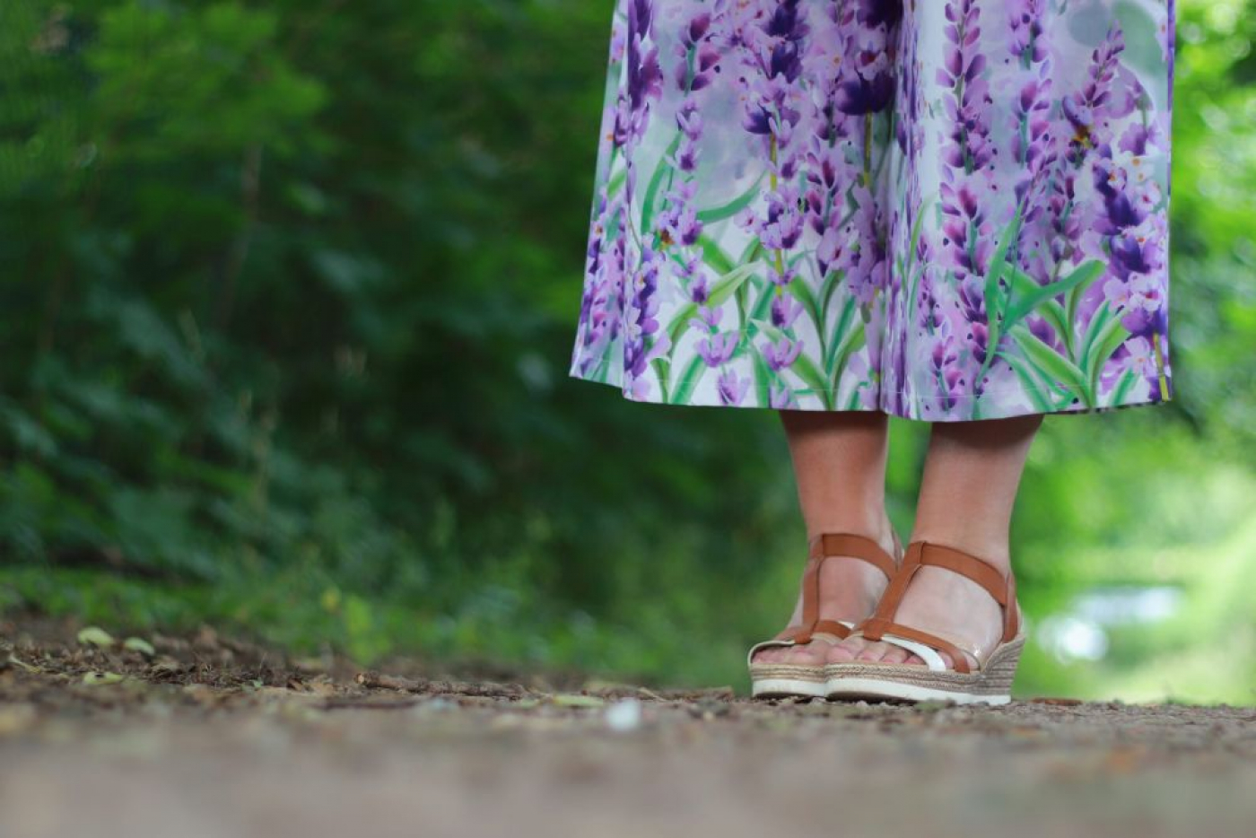Jersey Bordüren Stoff mit Lavendel