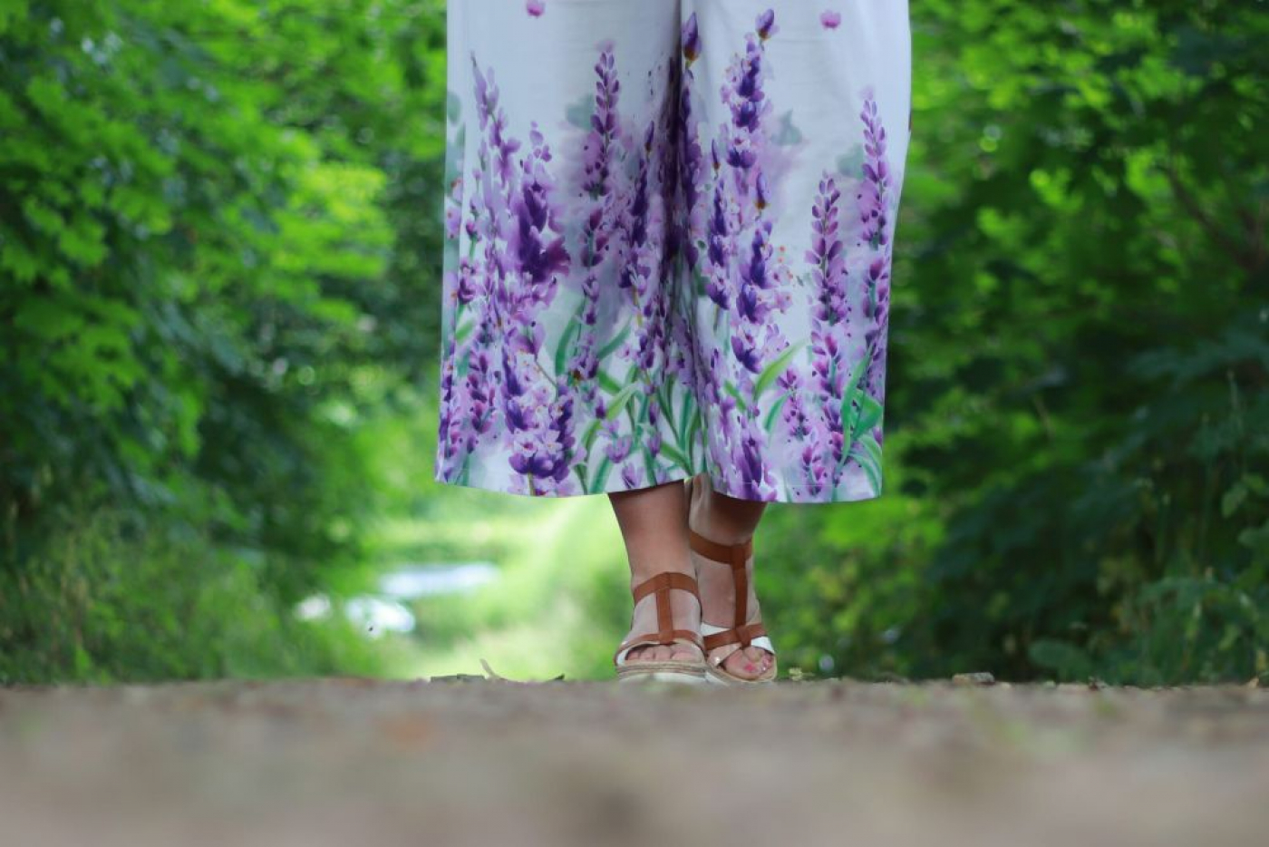 Jersey Bordüren Stoff mit Lavendel