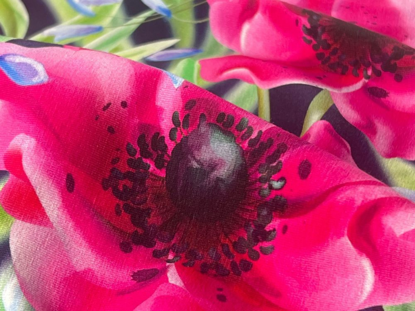 Bordüren Jersey Stoff in blau fuchsia